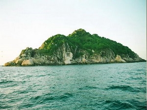 Daochim 1