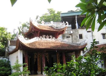 Dendongcoth 1