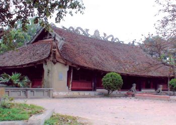 Dinhthotang 1
