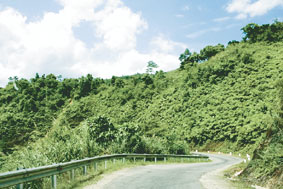 Duonglenaluoi