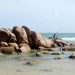 Hangcoppy 1