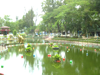 Honuocngotk 1