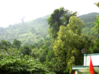 Nuichuachan 1