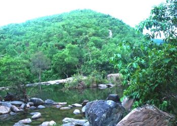 Suoikhoangthanhtan 1