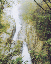 Thacbac