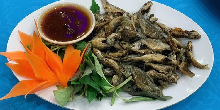 1111dac San Ca Linh Chien Gion