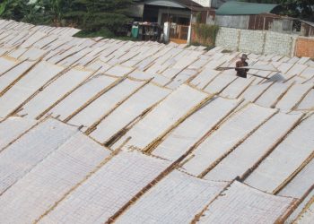 1212tp Ho Chi Minh Lang Banh Trang Tat Bat Cuoi Nam