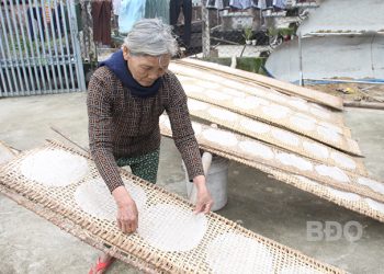 221 Binh Dinh Lang Nghe Giap Tet Ron Vui 1