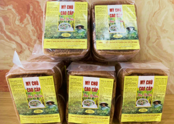 2310 Deo Tom My Chu Bac Giang 1