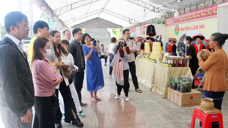 Ota Viet Nam 1 242