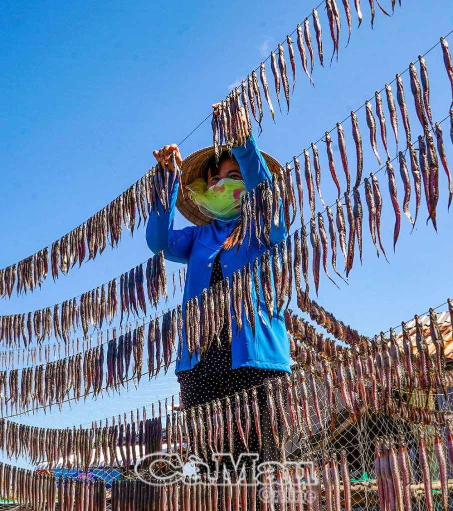 Ota Viet Nam 1 318