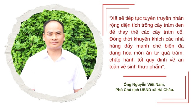 Ota Viet Nam 1 371
