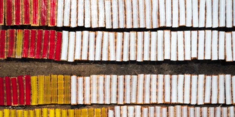 122sac Mau Lang Nghe Lam Bot Khoai O Tay Ninh 1