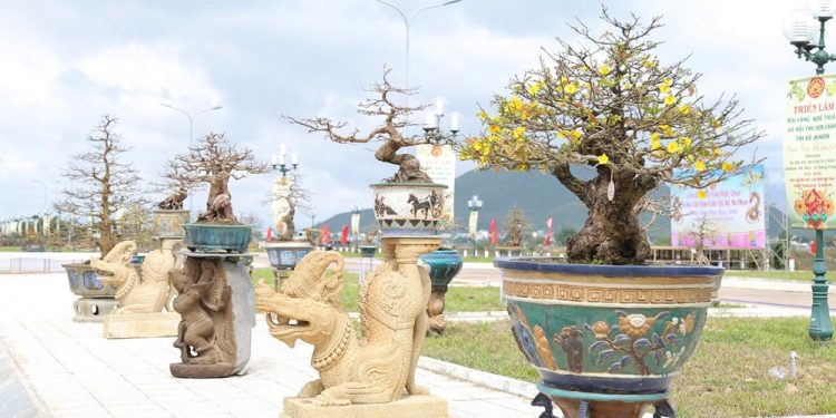 241 Vua Mai Lon Nhat Mien Trung Huong Den Lam Du Lich 1