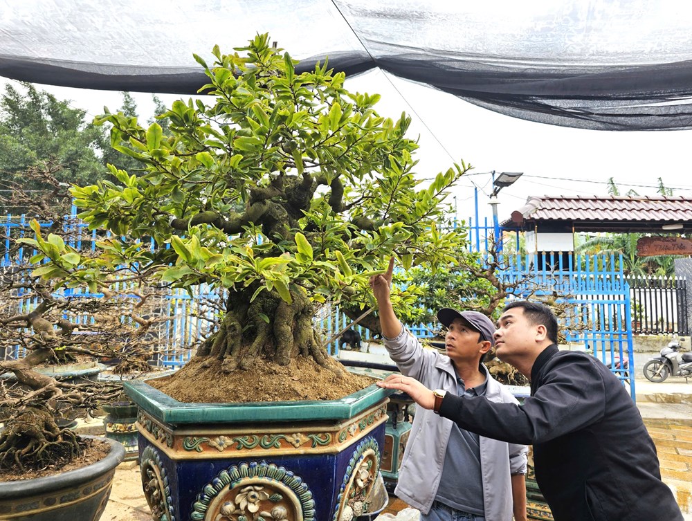 Ota Viet Nam 1 6