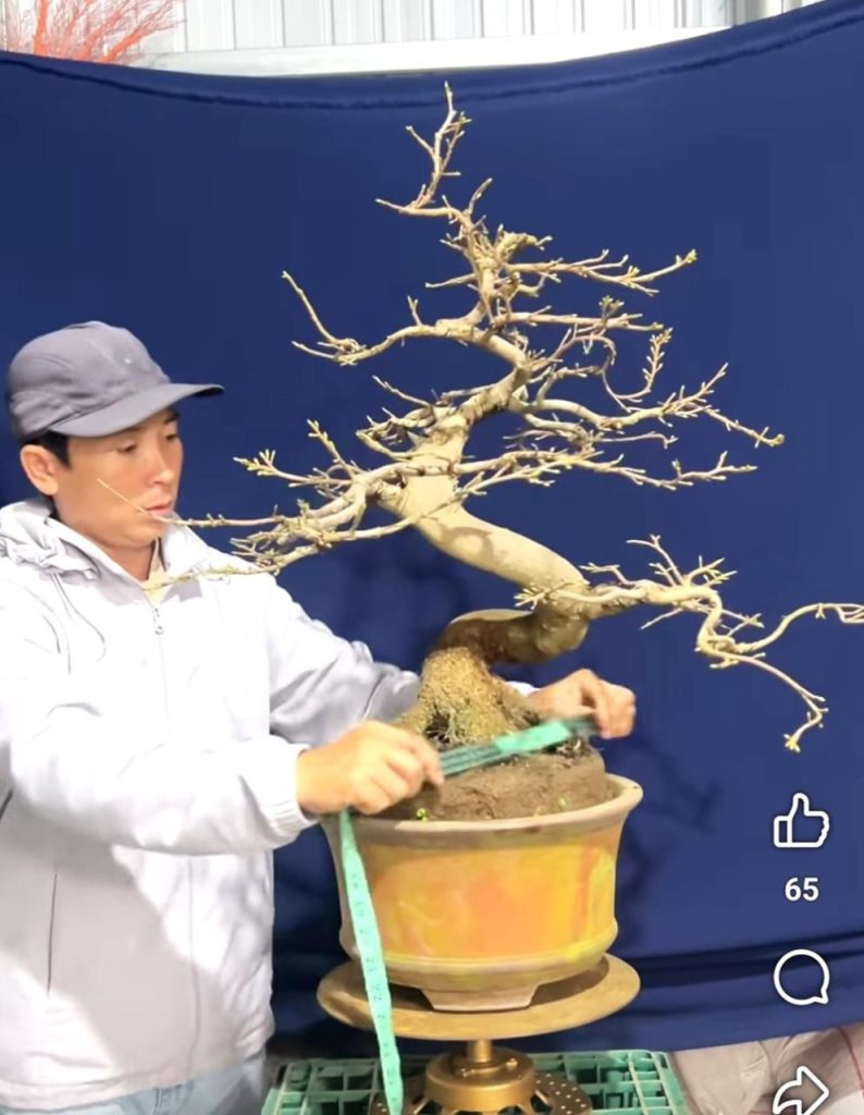 Ota Viet Nam 1 8