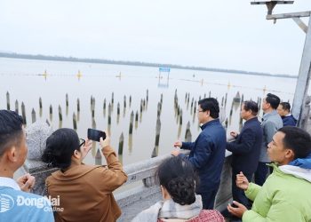 203tham Bach Dang Giang Noi Khi Thieng Song Nui Hoi Tu 2