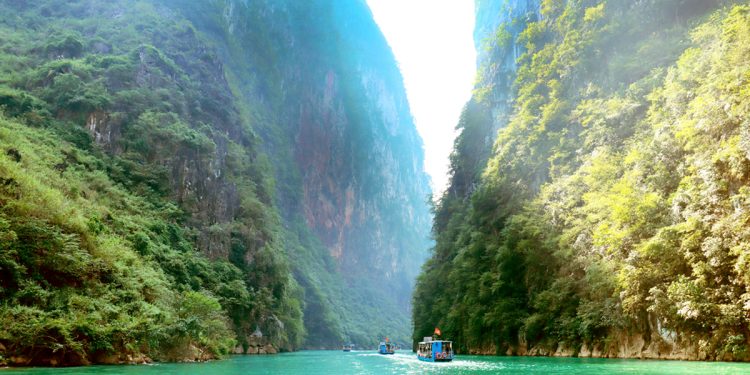 241 Meo Vac Diem Den Hap Dan 1