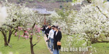 43son La Kham Pha Thien Duong Man Trang Na Ka