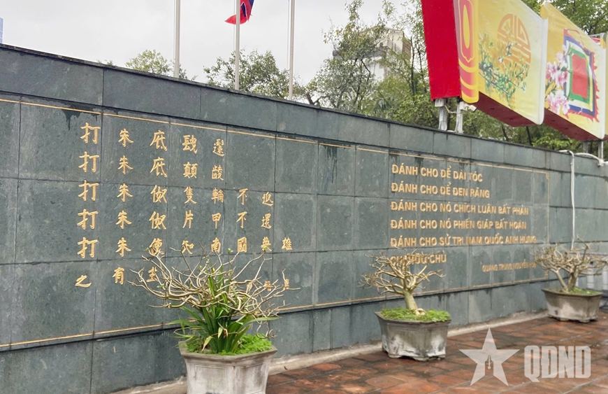 Ota Viet Nam 1 118