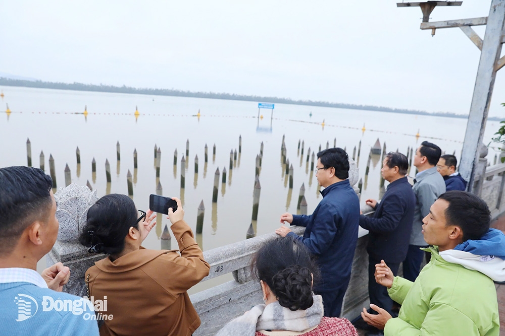 Ota Viet Nam 1 149
