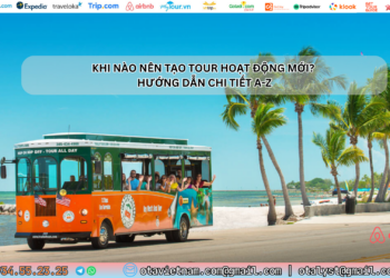 Ota Viet Nam Khi Nao Nen Tao Tour Hoat Dong Moi Huong Dan Chi Tiet A Z