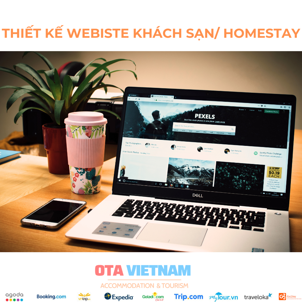 Otavn Ota Viet Nam Dich Vu Thiet Ke Website Cho Khach San Homestay Chat Luong Gia Re2