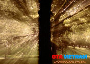 Growth hack và Growth không hack