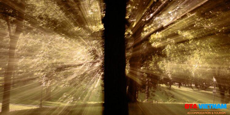 Growth hack và Growth không hack