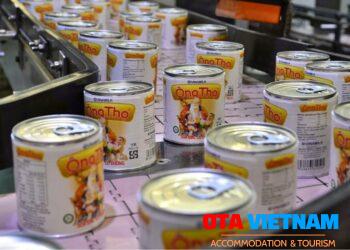 Sữa Ông Thọ của Vinamilk: 50 tuổi vẫn liên tục đổi mới