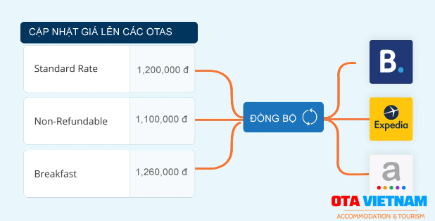 khach-san-da-that-bai-sale-online-trong-nam-2019-nhu-the-nao