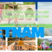 Ota Viet Nam Blog Thong Tin Du Lich 07 Du Doan Ve Du Lich Vao Nam 2024 Tu Booking Com