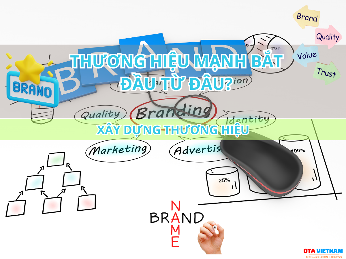 Otavn Ota Viet Nam Website Thuong Hieu Manh Bat Dau Tu Dau