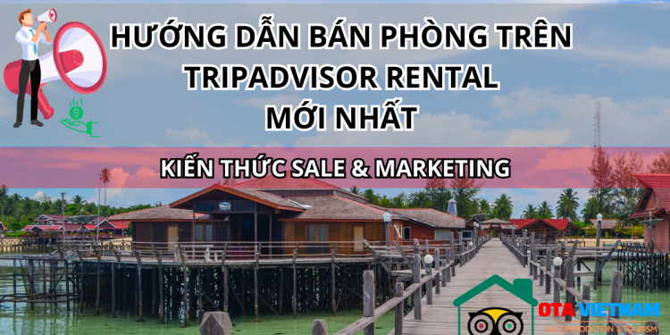 Otavn Ota Viet Nam Website Huong Dan Ban Phong Tren Tripadvisor Rental Moi Nhat