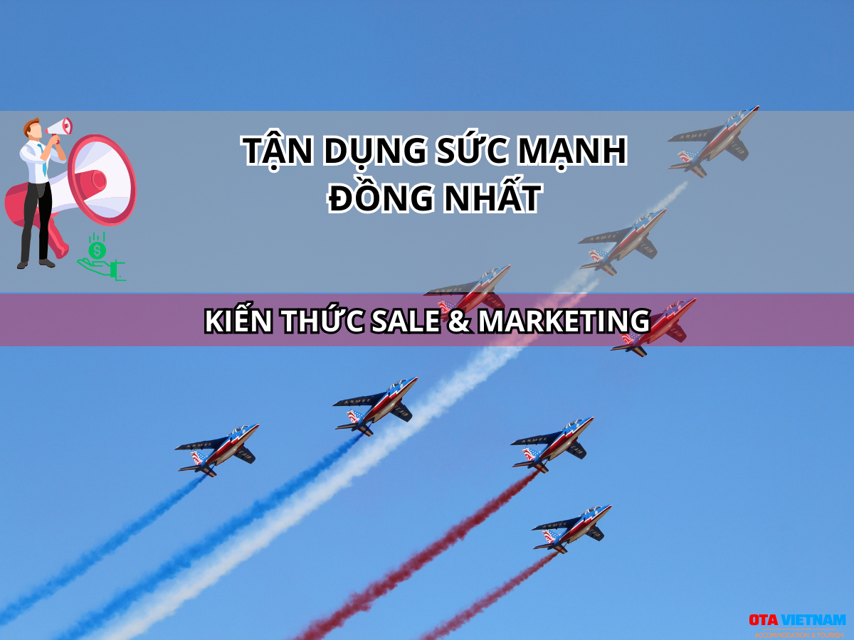 Otavn Ota Viet Nam Website Mot Doanh Nghiep Co The Hoc Tu Quan Doi Tao Ra Suc Manh Dong Nhat Tan Dung
