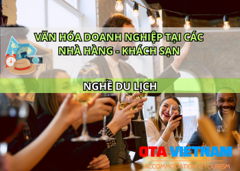 Otavn Ota Viet Nam Website Van Hoa Doanh Nghiep Tai Cac Nha Hang Khach San 1