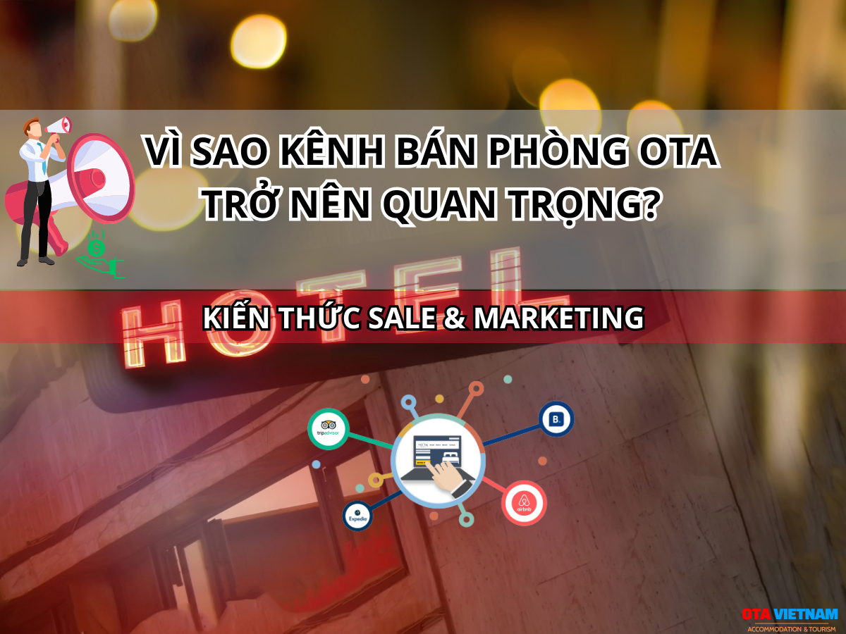 Otavn Ota Viet Nam Website Vi Sao Kenh Ban Phong Sale Ota Lai Quan Trong Voi Khach San Homestay 1