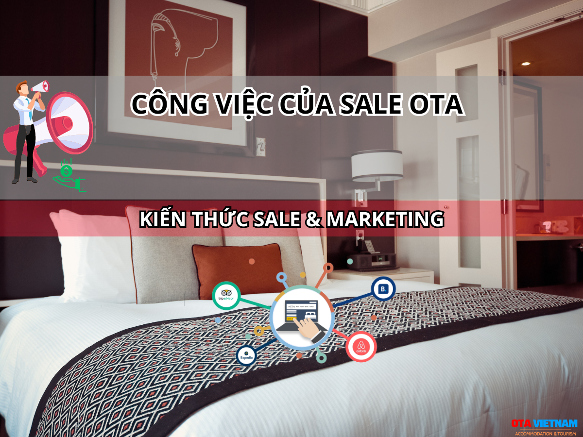 Otavn Ota Viet Nam Website Vi Sao Kenh Ban Phong Sale Ota Lai Quan Trong Voi Khach San Homestay Cong Viec