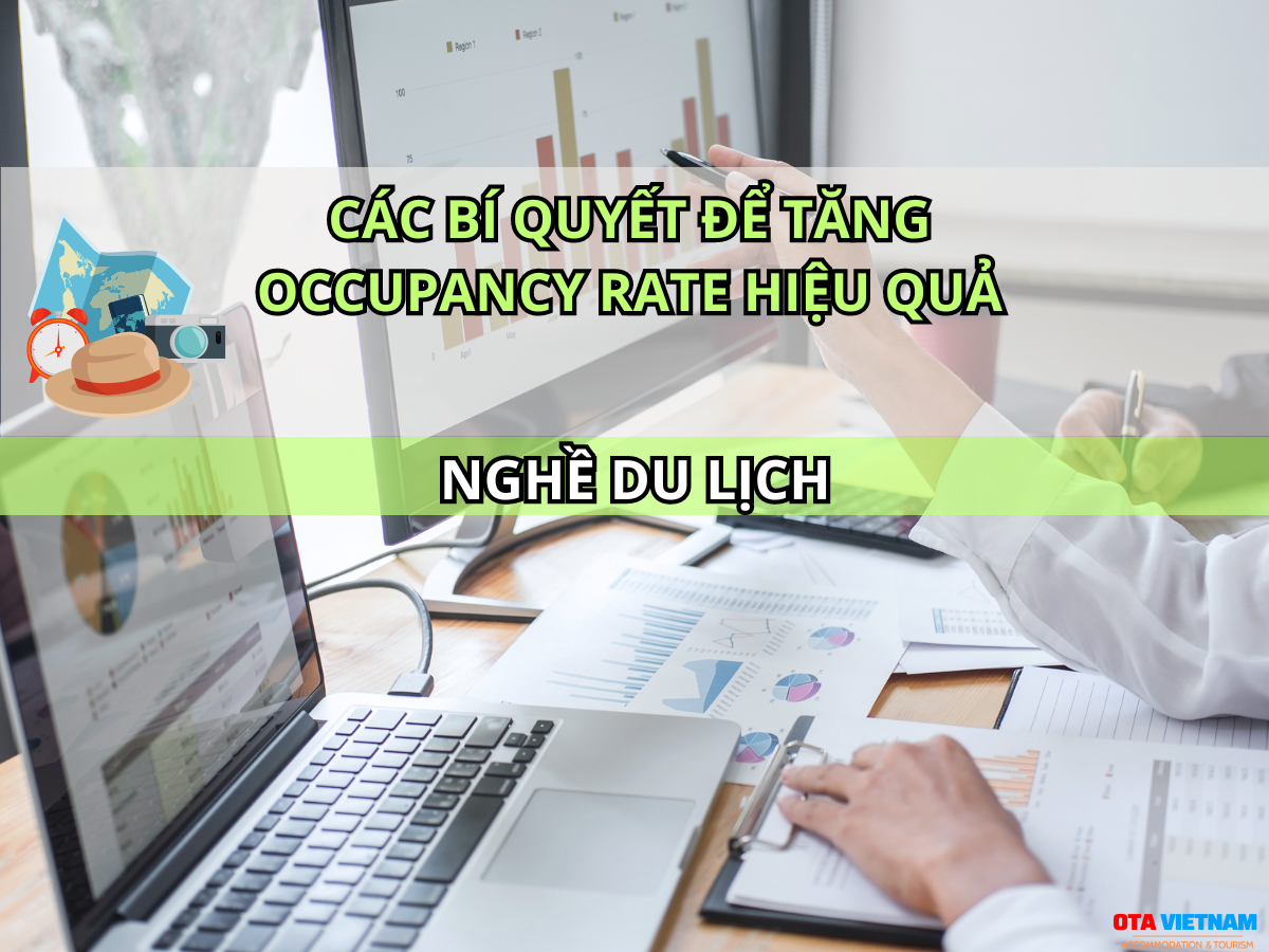 Otavn Ota Viet Nam Website Bi Quyet Tang Occupancy Rate Cho Khach San Chien Luoc Da Chieu Bi Quyet