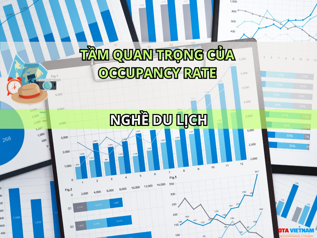 Otavn Ota Viet Nam Website Bi Quyet Tang Occupancy Rate Cho Khach San Chien Luoc Da Chieu Tam Quan Trong