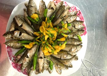 00alau Ca Linh18 1 1