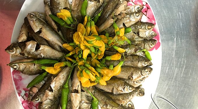 00alau Ca Linh18 1 1