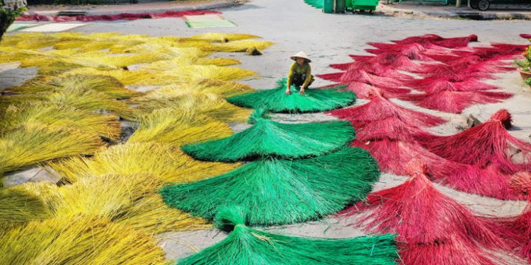 0804tham Lang Chieu Tram Nam Tuoi O Dong Thap
