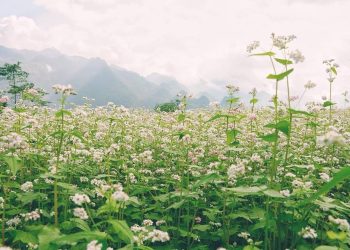 09102020 Tamgiacmach1 1