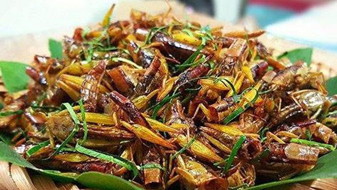 09112020 Chau Chau 1