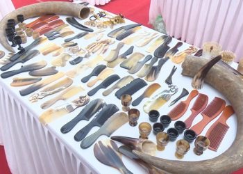 105 Ban Giai Phap Nang Cao Hieu Qua Diem Dlln Luoc Sung Thuy Ung 1