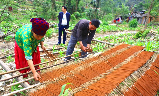 1105nghe Lam Huong Truyen Thong O Sang Tung Ha Giang