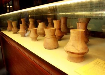 111 Hoi Sinh Dong Gom Co Sa Huynh 1