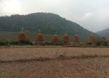 152doc Dao Nghe Lam Ghe Rom Cua Nguoi Tay Cao Bang 1