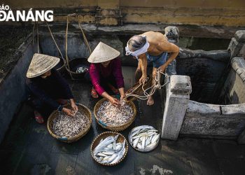 173can Canh Lang Nghe Nuoc Mam Nam O Da Nang 4